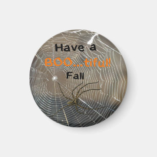 Have a BOOtiful Fall Spider on a Web Magnet