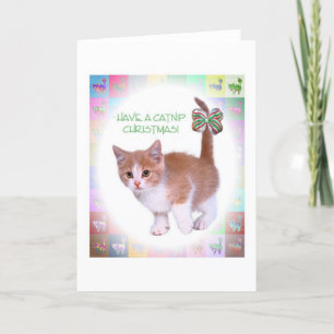 Have a Catnip Christmas! Holiday Card