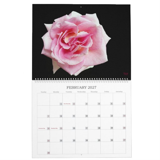 Have a Colourful Year Wall Calendar (Feb 2027)