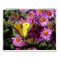 Have a Colourful Year Wall Calendar