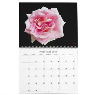 Have a Colourful Year Wall Calendar