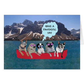 Have a fantastic day