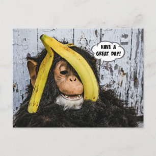 "Have a Great Day!" Happy Chimp Postcard