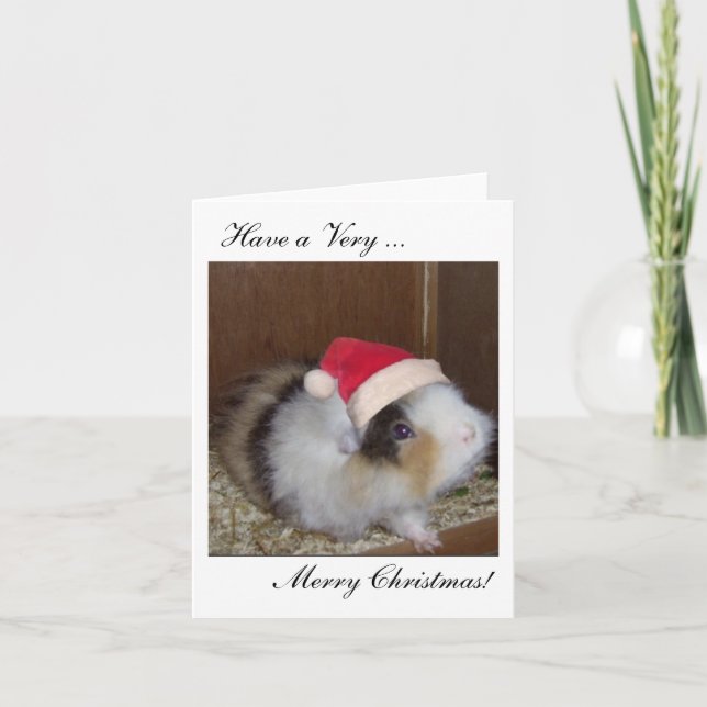 Have a Guinea Merry Christmas card! Holiday Card (Front)
