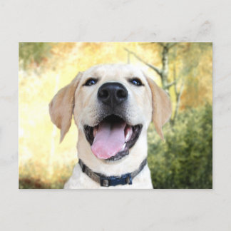 Have a happy day! postcard