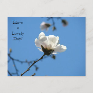 Have a Lovely Day! postcard White Magnolia Spring