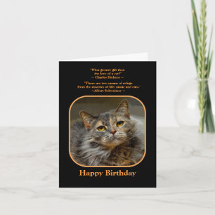 Have a meow-velous Birthday Tortoiseshell Cat Card