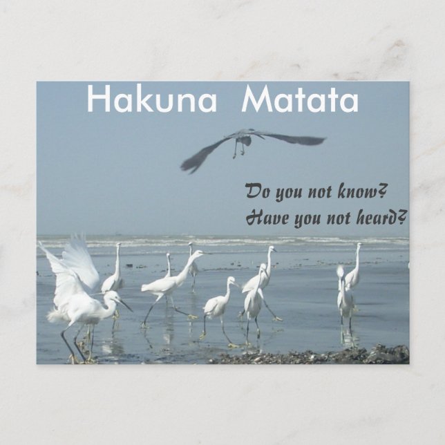 Have a Nice Day Customize Product Postcard (Front)