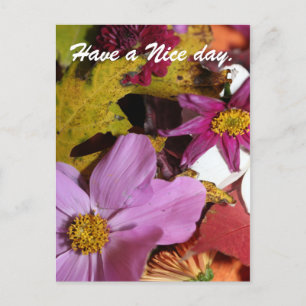Have a Nice day. Postcard