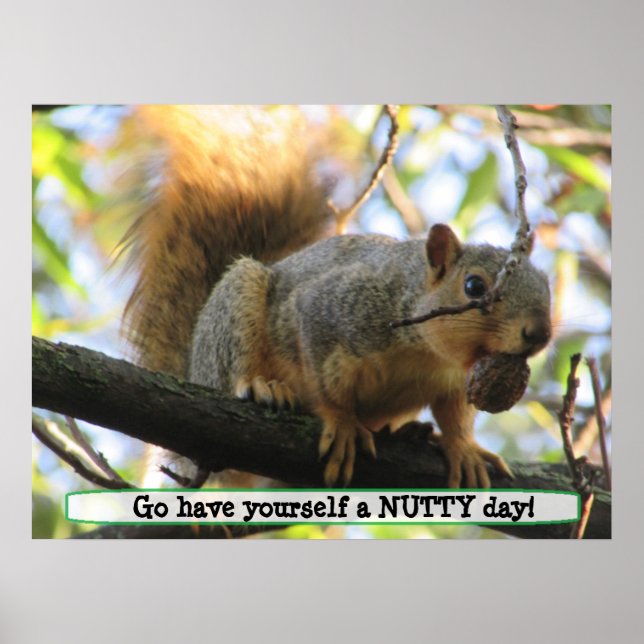 Have a Nutty Day, Cute Squirrel Humor Poster (Front)