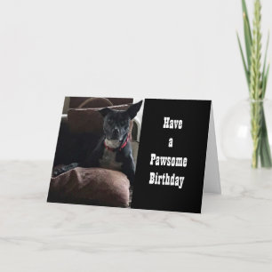 HAVE A **PAWSOME  BIRTHDAY** CARD