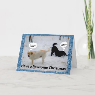 Have a Pawsome Christmas! -Cute Dogs Holiday Card