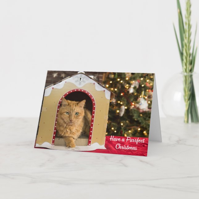 Have a Purrfect Christmas Cute Cat in Cat House Card (Front)