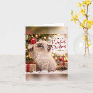 Have a Purrfect Christmas Ragdoll Kitten Greeting  Card