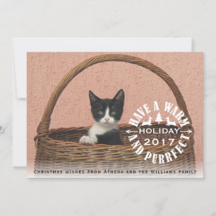 Have a warm and purrfect holiday cat Christmas