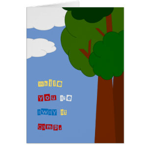 Have Fun at Summer Camp!