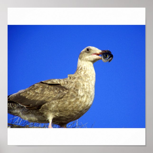 Have some poster (Front)