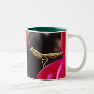 Have we been introduced? Two-Tone coffee mug