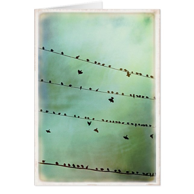 Have you heard? - Blank (Front)