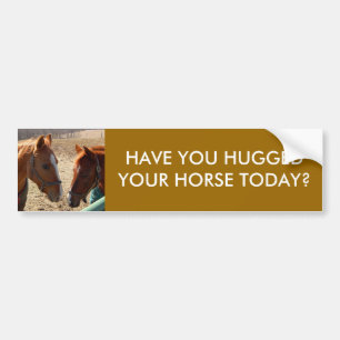 HAVE YOU HUGGED - bumper sticker