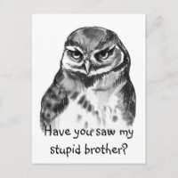 Have you saw my stupid brother - burrowing owl
