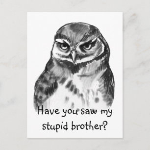 Have you saw my stupid brother - burrowing owl postcard