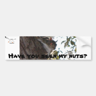 Have You Seen My Nuts? Bumper Sticker