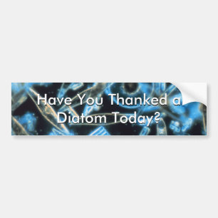 Have You Thanked a Diatom? Bumper Sticker