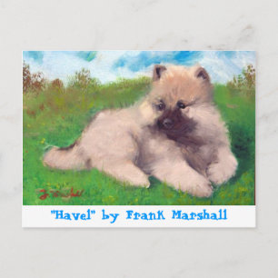 Havel by Frank Marshall Postcard