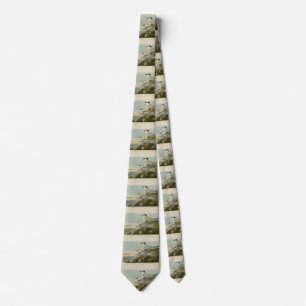 Havell's & Trudeau's Tern Audubon Birds of America Tie