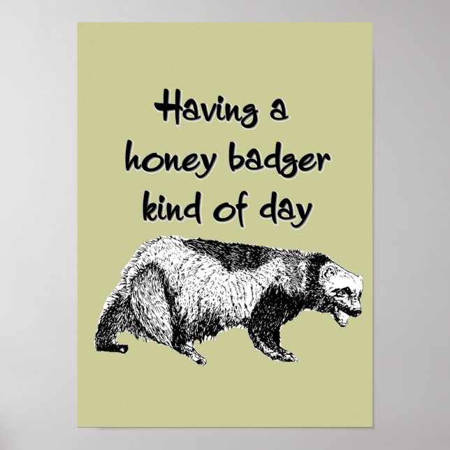 Having a honey badger kind of day poster (Front)