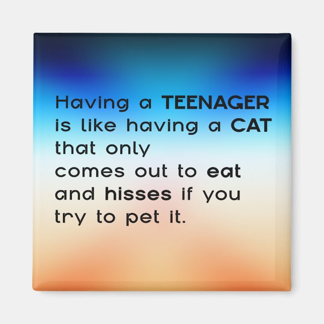 Having a Teenager... Magnet (Front)