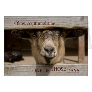 Having One of Those Days