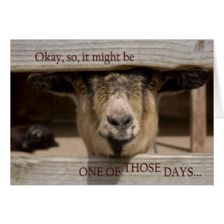 Having One of Those Days