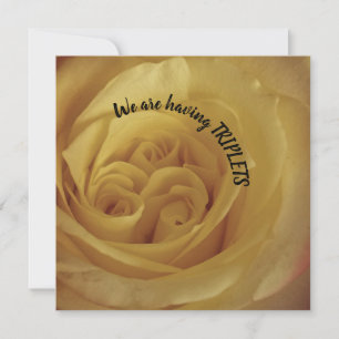Having Triplets Yellow Rose Baby Announcement
