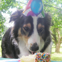 "Having Your Cake and Eat it Too!"