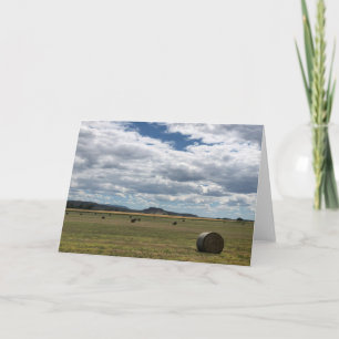 Havre, MT Card