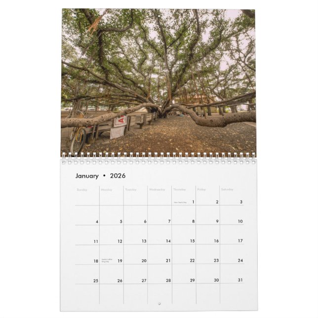 Hawaii 2015 Calendar (Jan 2026)