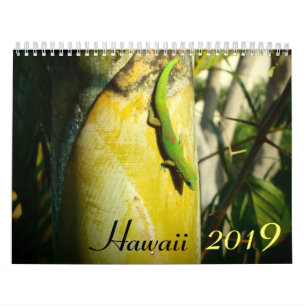 Hawaii 2019 scenic destinations calendar