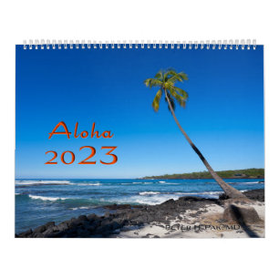 Hawaii 2023 Calendar