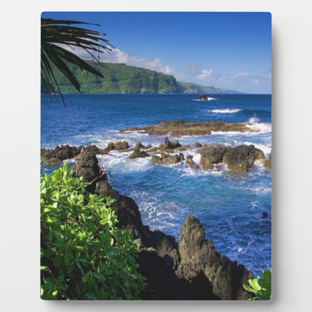 Hawaii Beach Scenery Plaque (Front)