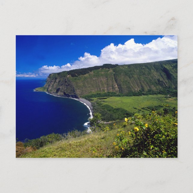 Hawaii Beautiful Beach and Mountains Postcard (Front)