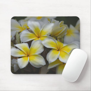 Hawaii Beauty: Captivating Plumeria Photography Mouse Pad