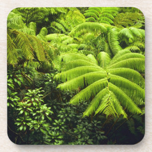 Hawaii, Big Island, Lush tropical greenery in 2 Coaster