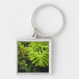 Hawaii, Big Island, Lush tropical greenery in 2 Keychain