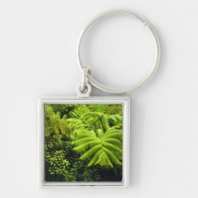 Hawaii, Big Island, Lush tropical greenery in 2 Keychain (Front)