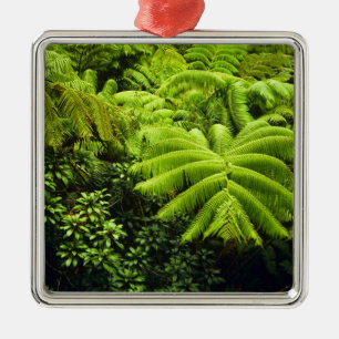 Hawaii, Big Island, Lush tropical greenery in 2 Metal Ornament