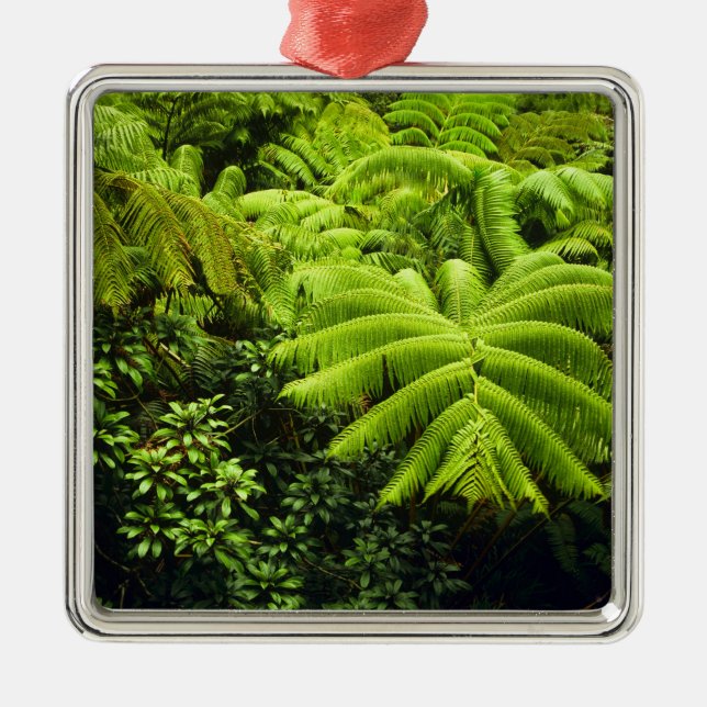 Hawaii, Big Island, Lush tropical greenery in 2 Metal Ornament (Front)