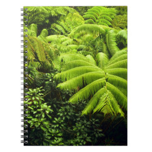 Hawaii, Big Island, Lush tropical greenery in 2 Notebook