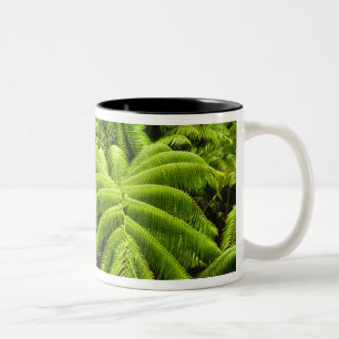 Hawaii, Big Island, Lush tropical greenery in 2 Two-Tone Coffee Mug
